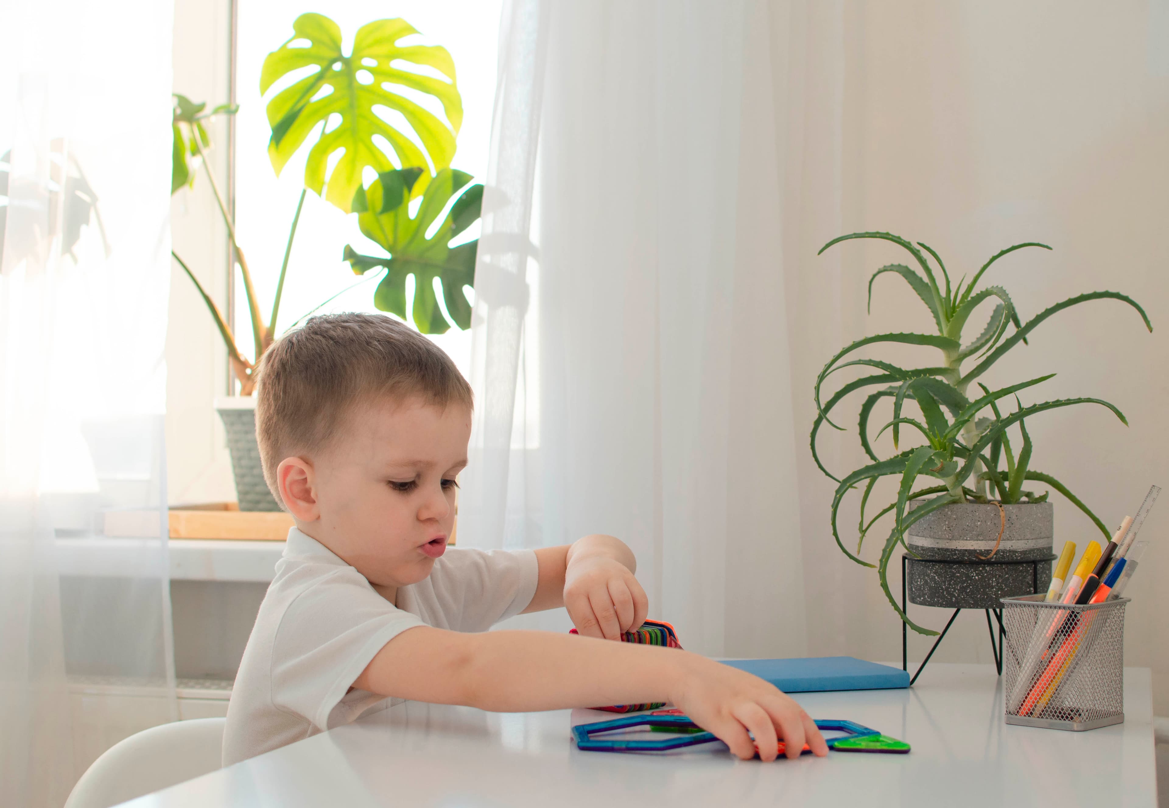 5 ejercicios para mejorar la atención en niños de 3 a 6 años
